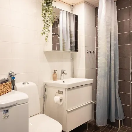 Lappish Homestead Hosted By Hygge Host Rovaniemi